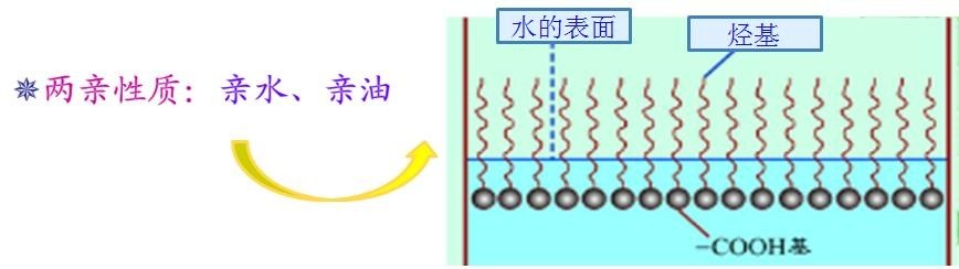 <a href='http://www.qhrzdb.com/product/product-0001,0011,0018.shtml' class='keys' title='點(diǎn)擊查看關(guān)于潤(rùn)濕劑的相關(guān)信息' target='_blank'>潤(rùn)濕劑</a>